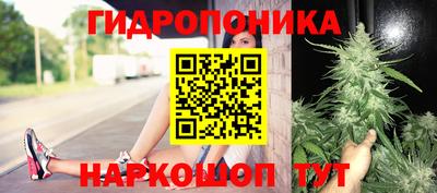 сатива Комсомольск-на-Амуре