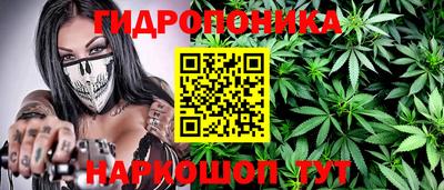 сатива Комсомольск-на-Амуре