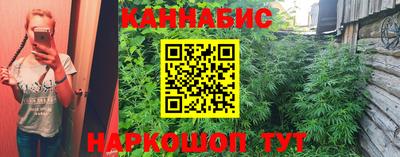 сатива Комсомольск-на-Амуре