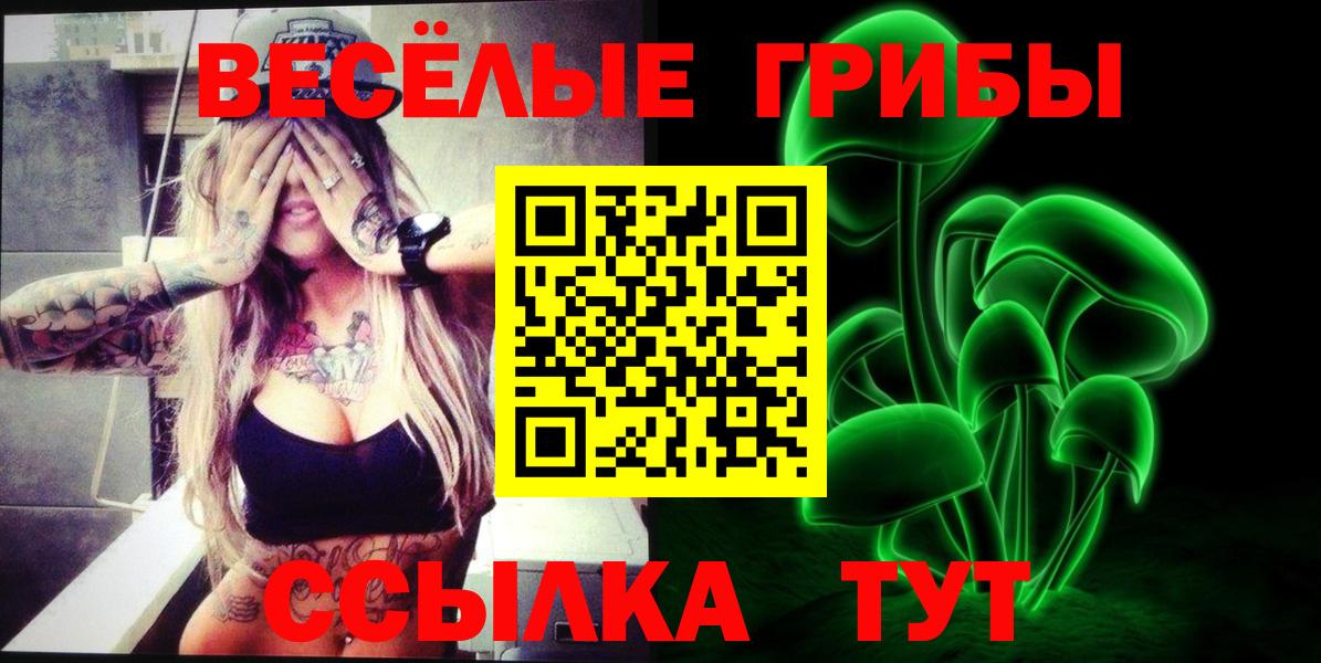 Костомукша  Псилоцибиновые грибы MAGIC MUSHROOMS  Вход с VPN 